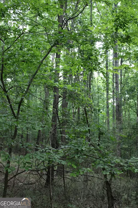 3 Mount Moriah Rd, Auburn, GA 30011 photo 25