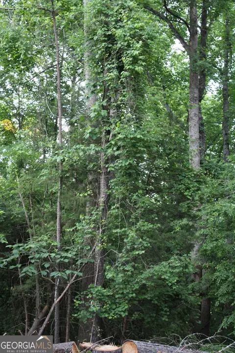3 Mount Moriah Rd, Auburn, GA 30011 photo 31