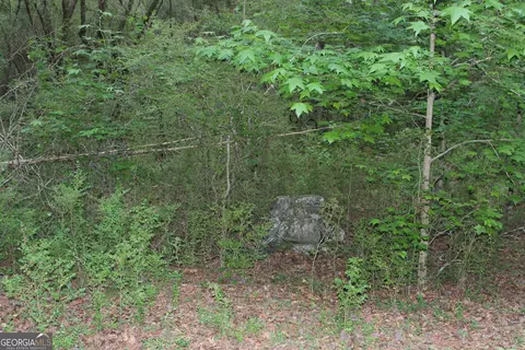 3 Mount Moriah Rd, Auburn, GA 30011 photo 14