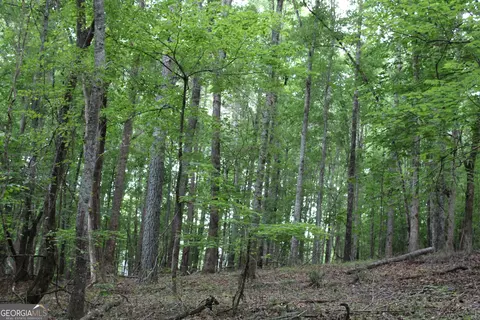 3 Mount Moriah Rd, Auburn, GA 30011 photo 27