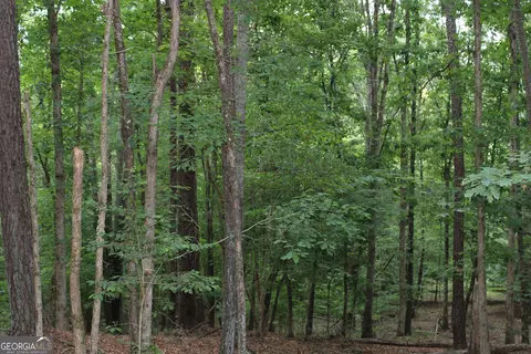 3 Mount Moriah Rd, Auburn, GA 30011 photo 6