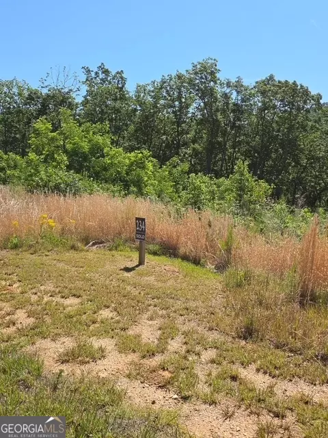 lot234 Highgrove Dr, Talking Rock, GA 30175