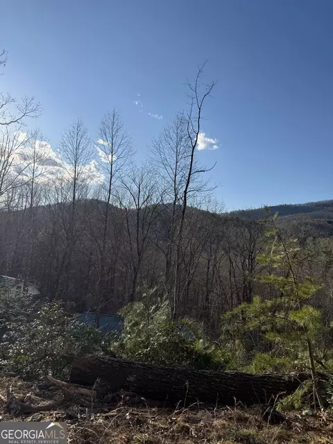 lot6 D Meadow View Ln, Cleveland, GA 30528