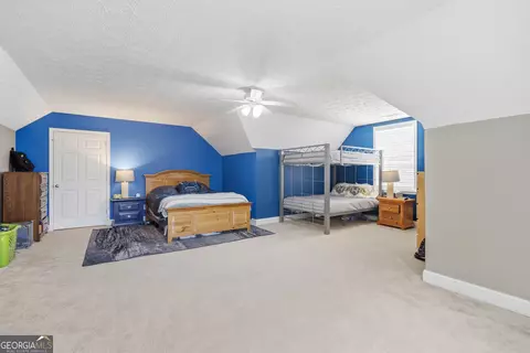 Other - 260 Bridgemill Ln, Hampton, GA 30228 photo 9 of 16