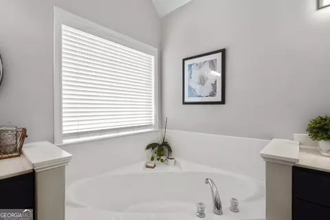 Other - 260 Bridgemill Ln, Hampton, GA 30228 photo 10 of 16