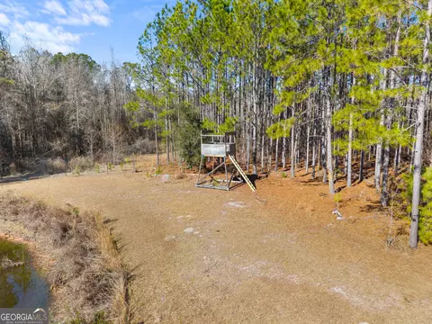 View/Area - 549 Kendricks Rd, Brooklet, GA 30415 photo 7 of 8