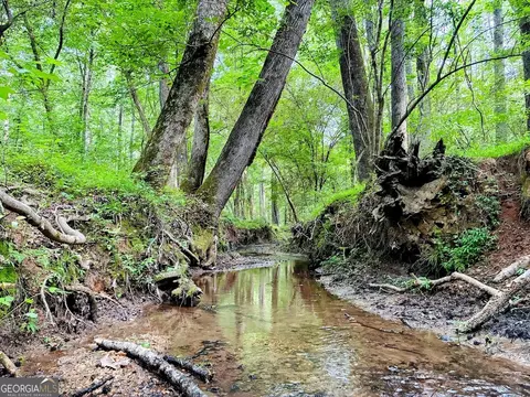 0 Caldwell Rd #TRACT B1, Gay, GA 30218