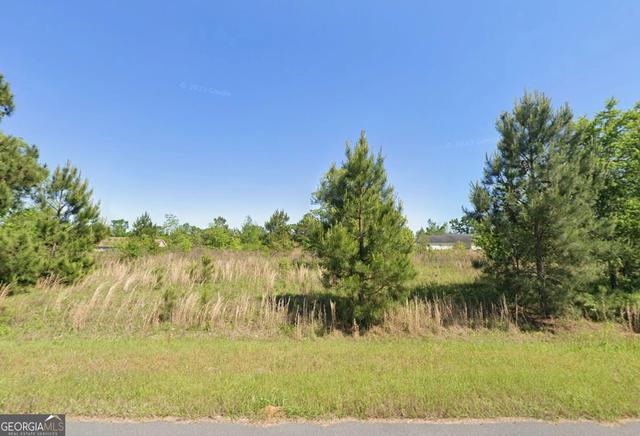 Buckingham Parc Circle, East Dublin, GA 31027