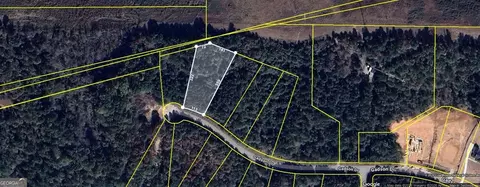 245 Gadson Dr, Fayetteville, GA 30214