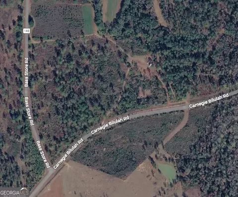 50 Harvest Rd, Coleman, GA 39836