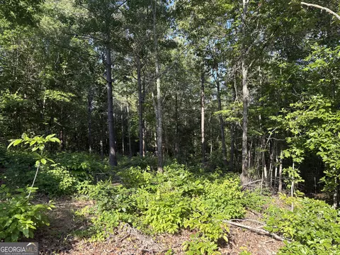 0 Anna Claire Ct #LOT 11, Monticello, GA 31064
