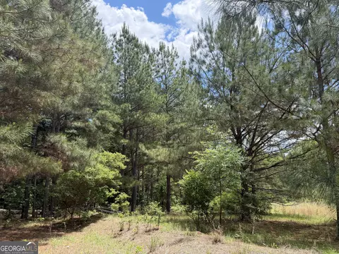 008 George Milling Rd, Toomsboro, GA 31090