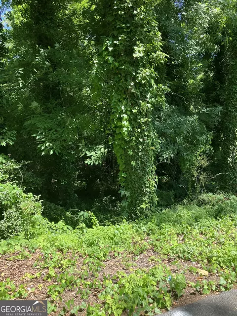 0 Battey Dr, Rome, GA 30161 photo 3