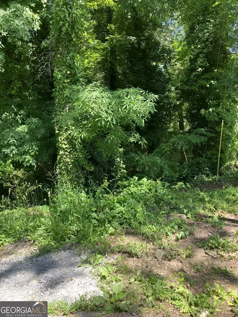 0 Battey Dr, Rome, GA 30161 photo 4