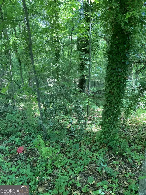 0 Battey Dr, Rome, GA 30161 photo 5