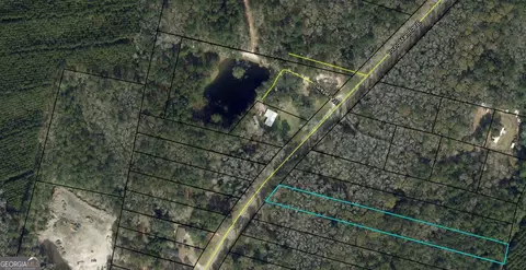 0 Youngman Rd, Townsend, GA 31331 photo 5