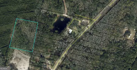0 Youngman Rd, Townsend, GA 31331 photo 8