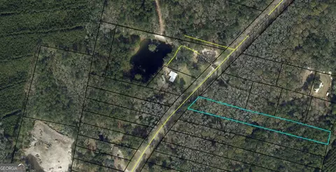 0 Youngman Rd, Townsend, GA 31331 photo 7