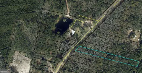 0 Youngman Rd, Townsend, GA 31331 photo 6