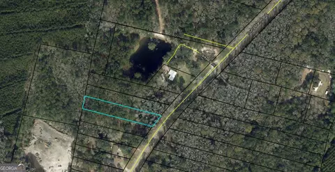 0 Youngman Rd, Townsend, GA 31331 photo 2