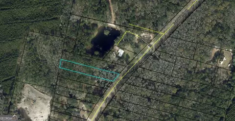 0 Youngman Rd, Townsend, GA 31331 photo 3