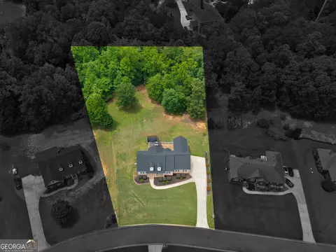View/Area - 221 Hummingbird Ct, Hampton, GA 30228 photo 4 of 4