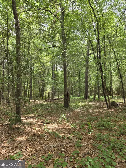 6045 Cara Dr, Macon, GA 31216 photo 2