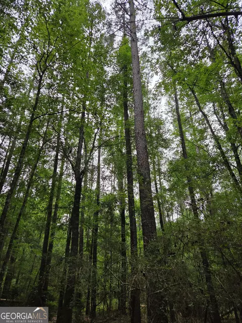 6045 Cara Dr, Macon, GA 31216 photo 4