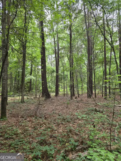 6045 Cara Dr, Macon, GA 31216 photo 3