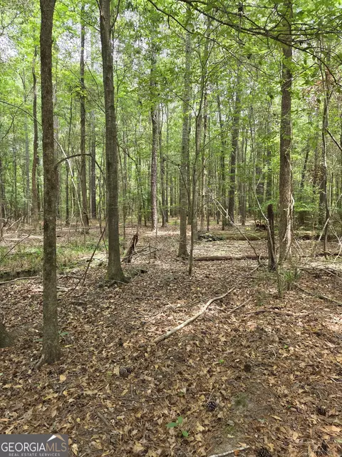 6045 Cara Dr, Macon, GA 31216 photo 12