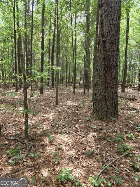 6045 Cara Dr, Macon, GA 31216 photo 6