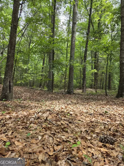 6045 Cara Dr, Macon, GA 31216 photo 11