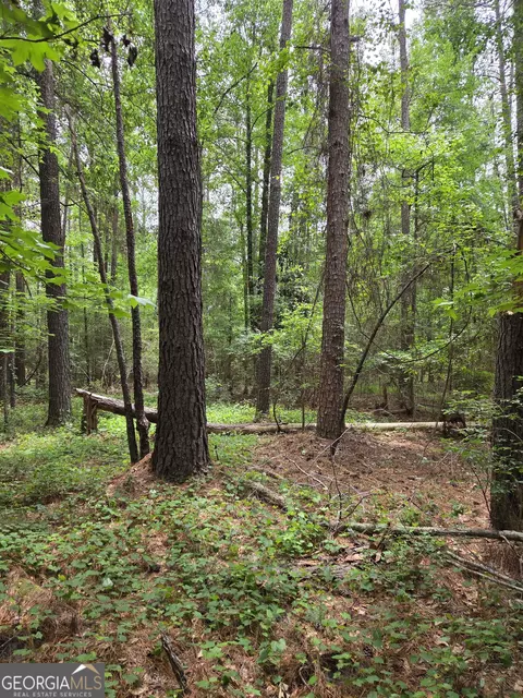 6045 Cara Dr, Macon, GA 31216 photo 5