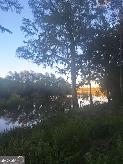 0 Eagles Pt, Surrency, GA 31563 photo 3