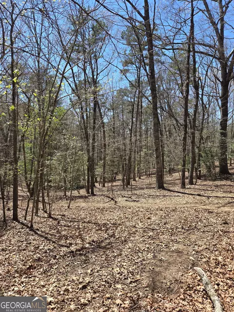 95 Black Bear Trl, Cleveland, GA 30528