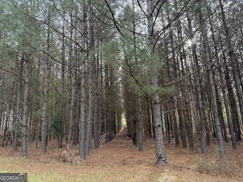 0000 Center Hill School Rd, Crawfordville, GA 30631