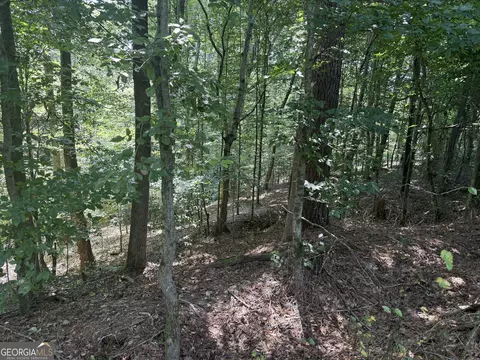 14 4 Acres Roy Parks Rd, Talmo, GA 30575 photo 13