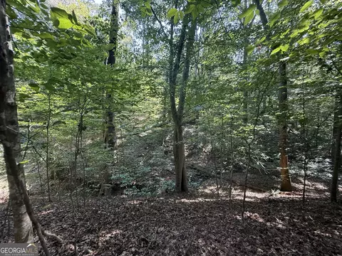14 4 Acres Roy Parks Rd, Talmo, GA 30575 photo 15