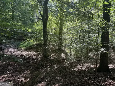 14 4 Acres Roy Parks Rd, Talmo, GA 30575 photo 14
