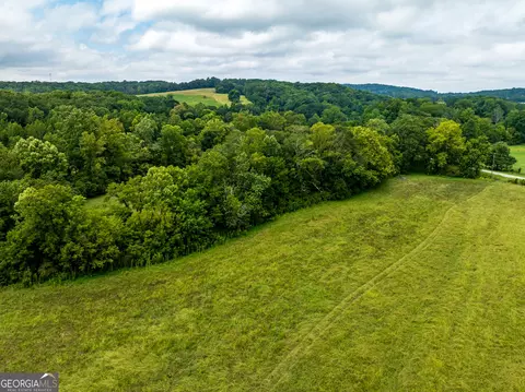 9 3 Acres Roy Parks Rd, Talmo, GA 30575 photo 17