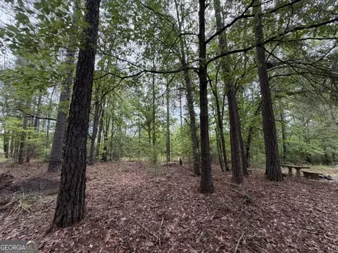 Undisclosed, Seale, AL 36875 photo 9