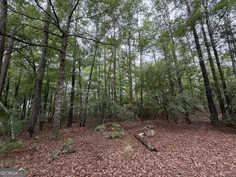 Undisclosed, Seale, AL 36875 photo 10