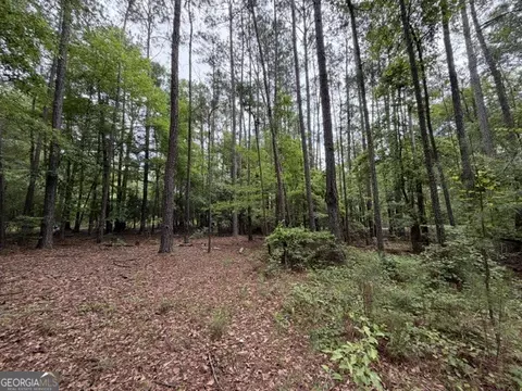 Undisclosed, Seale, AL 36875 photo 11