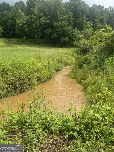0 Tails Creek Rd, Ellijay, GA 30540