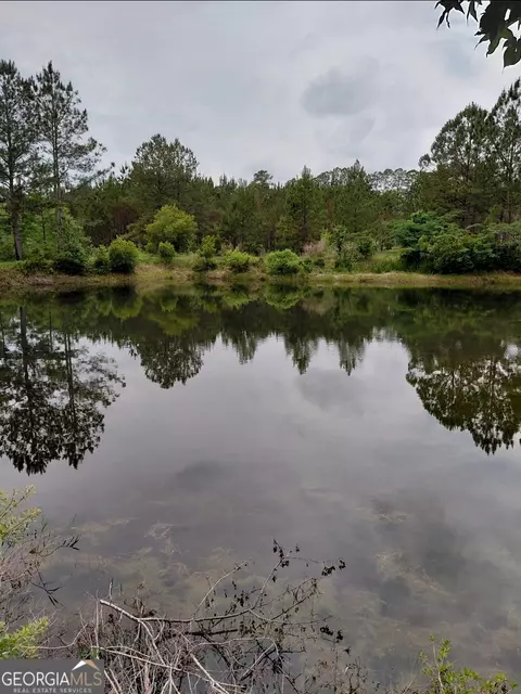 436 Russell Blvd #ACRES 21.45, Saint George, GA 31562