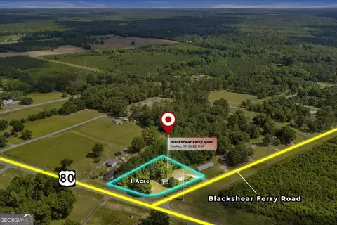 1295 Blackshear Ferry Rd, Dudley, GA 31022