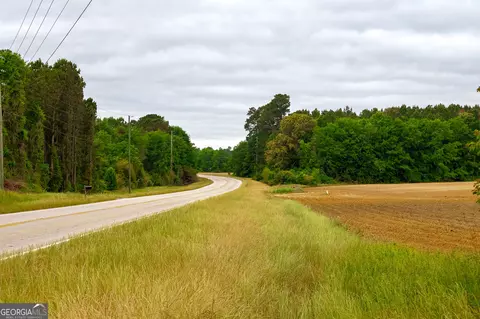 1 Highway 80, Stapleton, GA 30823 photo 12