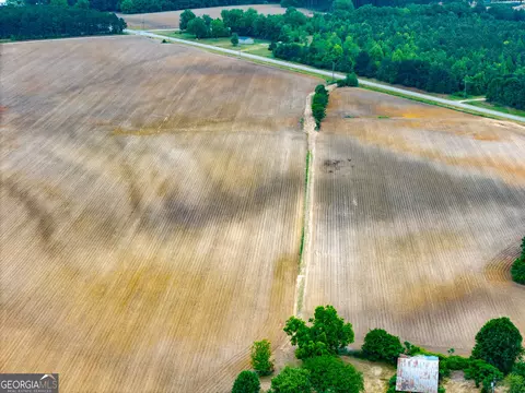1 Highway 80, Stapleton, GA 30823 photo 6