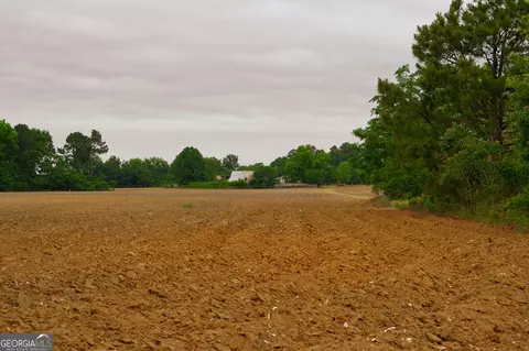 1 Highway 80, Stapleton, GA 30823 photo 8