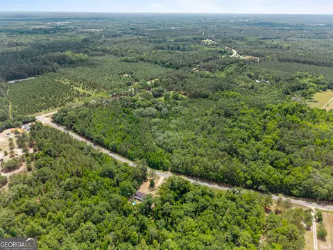 0 Mt Pleasant Rd, Daisy, GA 30423 photo 11